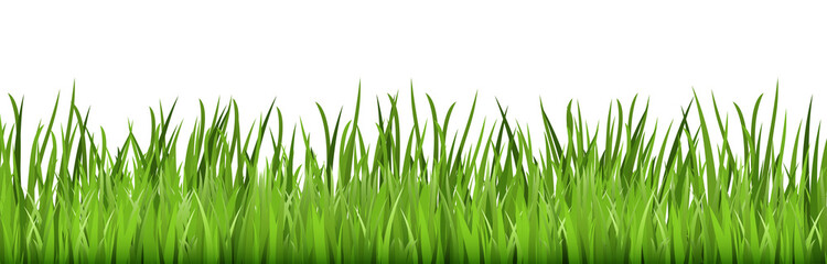 Fototapeta na wymiar seamless floral grass panorama background
