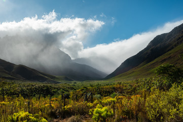 The Jonkershoek valley above Stellenbosch in the Western Cape of South Africa, where fynbos fills the valleys at the foot of the mountains. - 334370876