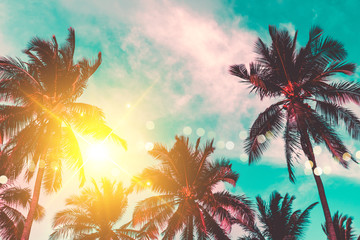 Tropical palm coconut trees on sunset sky flare and bokeh nature.
