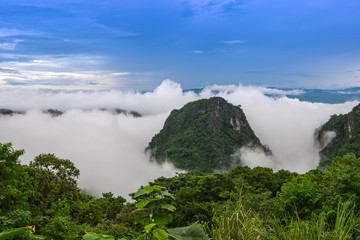 The mountain after raining with the fog.Doi Pha Mee Chiang Rai Thailand