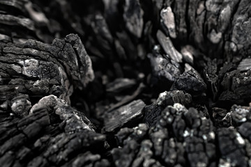 Burned wood texture. Selective focus (macroshoot)