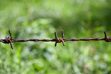 old rust Barbed wire fence