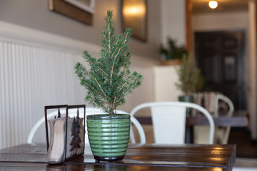 A table and chairs in a café with napkins and small potted pine tree on table