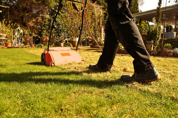 Aeration with a scarifier. Lawn thatcher in action. Using a scarifier in the garden to improving...