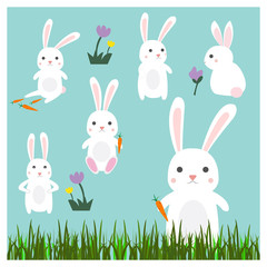 bunny rabbit cute icons set vector illustration design