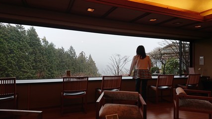 It is a picture of Japanese-style hotel in Hakone, Japan.
