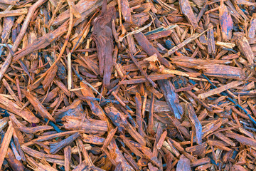 Wood chips as a natural background or texture for design.