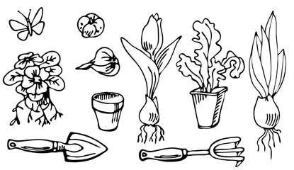 Spring flowers and garden tools. Garden collection (plant bulbs, fork, seedlings, flower, butterfly, ). Set of hand drawn elements. Spring drawings in sketch style. EPS 8