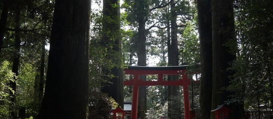 It is a picture of Hakone in Japan. It is Hakone Shrine.