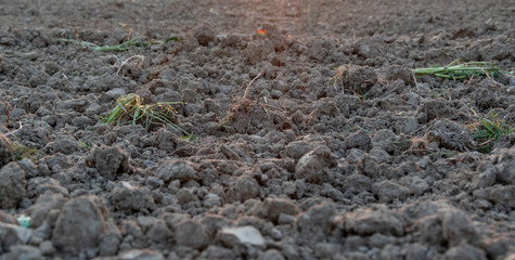 Ein frisch gepflügtes Feld. Der Ackerboden liegt in dicken Klumpen, Erdschollen, und muss noch geeggt werden.