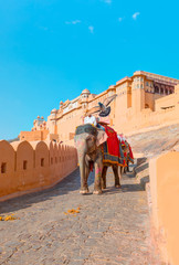 Naklejka premium Tourists enjoy an elephant ride at Amer Fort Jaipur Rajasthan. Elephant rides are popular tourist attraction in Amber Fort.