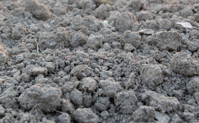 Ein frisch gepflügtes Feld. Der Ackerboden liegt in dicken Klumpen, Erdschollen, und muss noch geeggt werden.