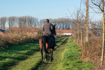 Horseback rider galloping
