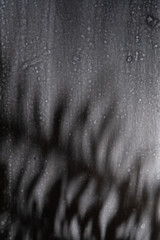 Grey coloured textured backdrop with a shadow