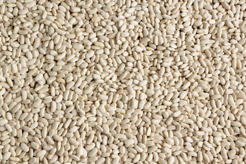 White raw aw beans background. Natural protein legume food