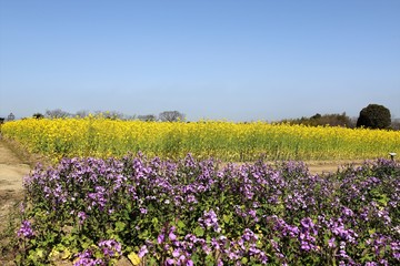 和泉リサイクル環境公園