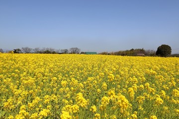 和泉リサイクル環境公園