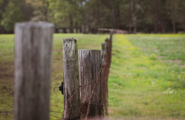 Fototapeta na wymiar Shallow focus wooden fence posts - agricultural background