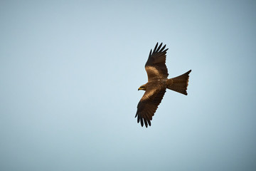 Obraz premium Darwin NT Australia