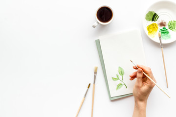 Painting. Female hands draw herbs on white background top-down copy space