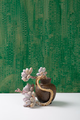Succulents on green background，Graptopetalum amethystinum