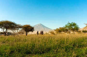 Kilimanjaro and Masai national park of Serengeti