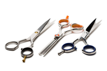 Hairdresser master scissors
