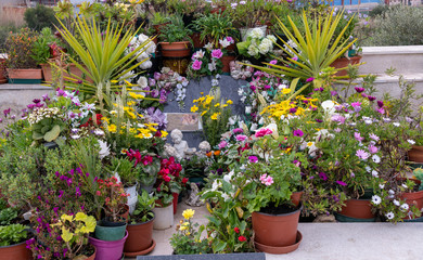 Ein Blumenmeer auf dem Grab auf einem Friedhof in Spanien