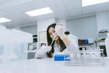 Young medical  scientist working in medical laboratory , young female scientist  using auto pipette to transfer sample 