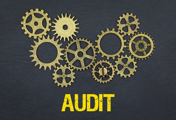 Audit 