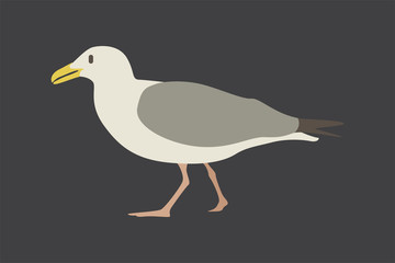 Obraz premium Cartoon seagull. Cute Cartoon seagull, Vector illustration on a grey background. Drawing for children.