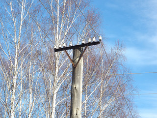 Old Soviet, Russian telegraph pole. Tree branches, spring. Russia, Ural