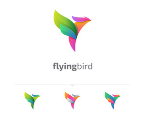 Fototapeta na wymiar Abstract colorful bird logo variations