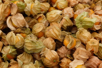 Cape Gooseberry, antioxidant fruit Sold by farmers market And according to the supermarket
