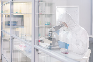 Lab worker in protective workwear studying viruses and antidotes in lab