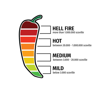 chilli pepper hotness level vector graphic design illustration