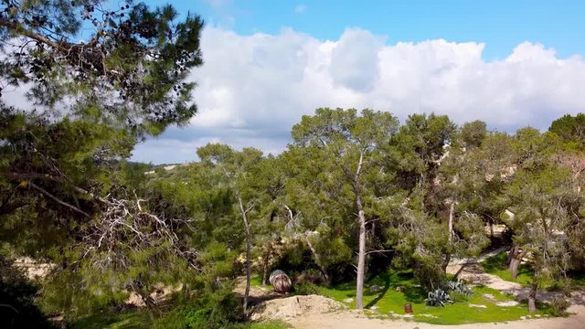 Rise from the forest over the church in the monastery Beit Jamal and valley