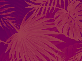 Beautiful abstract color white and pink leaves marble on white background, black red granite tiles floor on black background, love red leaves banners graphics, art mosaic decoration, pink flowers