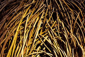 Old rural brown gold dry straw vine texture warm orange yellow sunset light photo background. For seasonal autumn fall harvest ideas, menu, presentation, card decoration