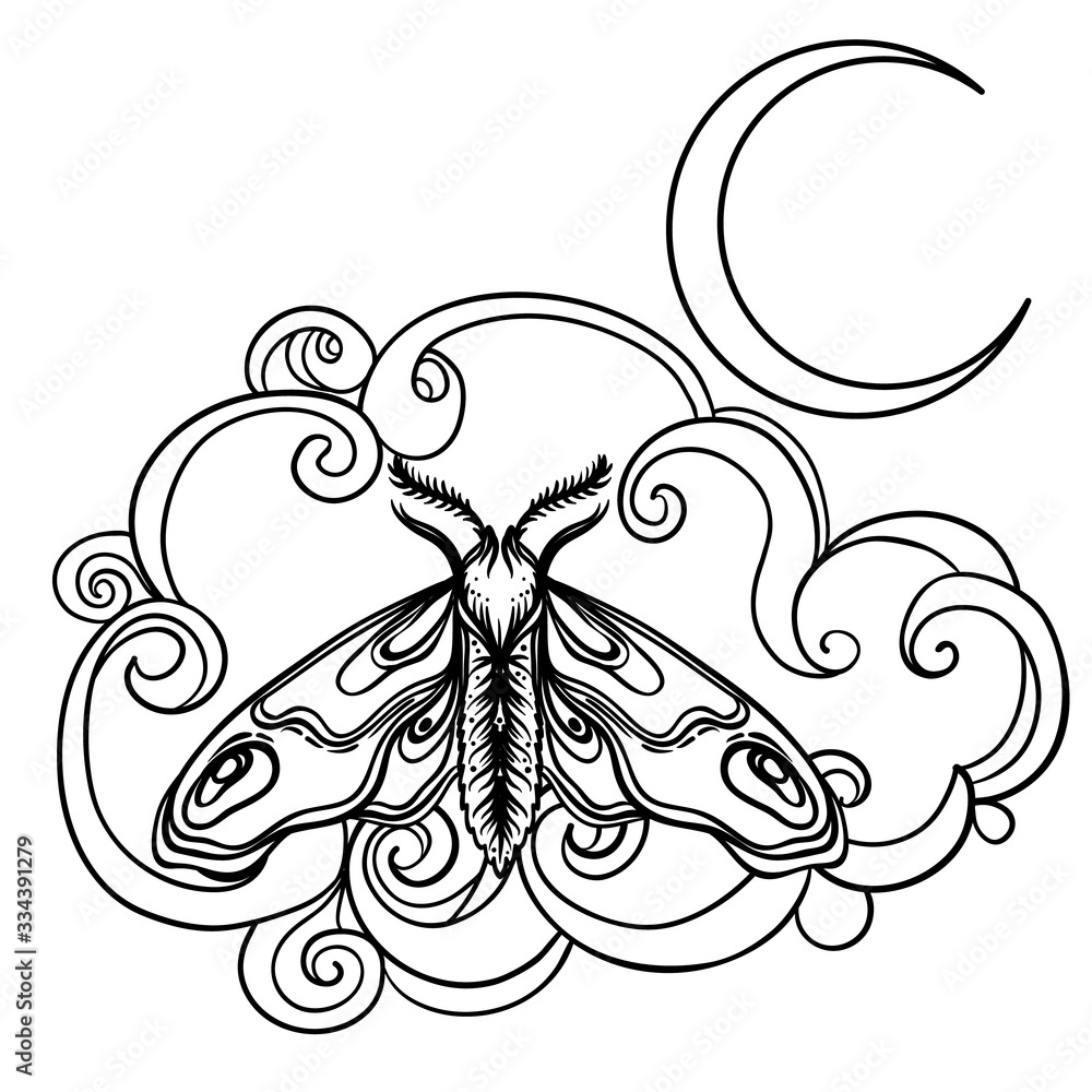 Wall mural crescent moon and moth over ornate cloud. tattoo style. vector illustration in outlines isolated on 