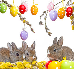 two little rabbits and spring flowering branch
