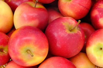 New Zealand apple on white background