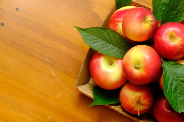 New Zealand apple on wooden background