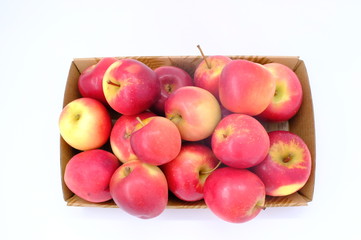 New Zealand apple on white background