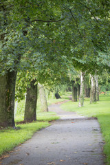 Relax and freshness walk path under the tree. Vinkovci, Croatia.