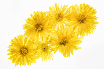 bouquet of yellow mums