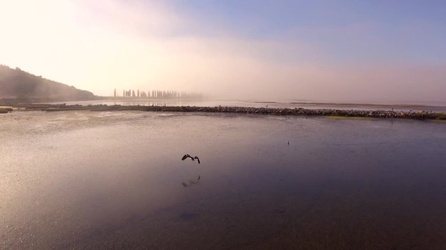 Aerial view of bird flying at Neretva Delta in Dalmatia, Croatia