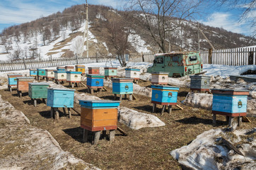 Fototapeta na wymiar Apiary in the village in the open air after wintering.