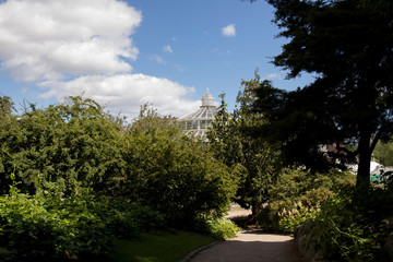Greenhouse in the Botanical garden of Copenhagen