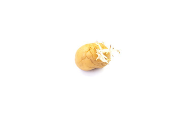 Old potatoes with sprouted shoots on a white background isolated